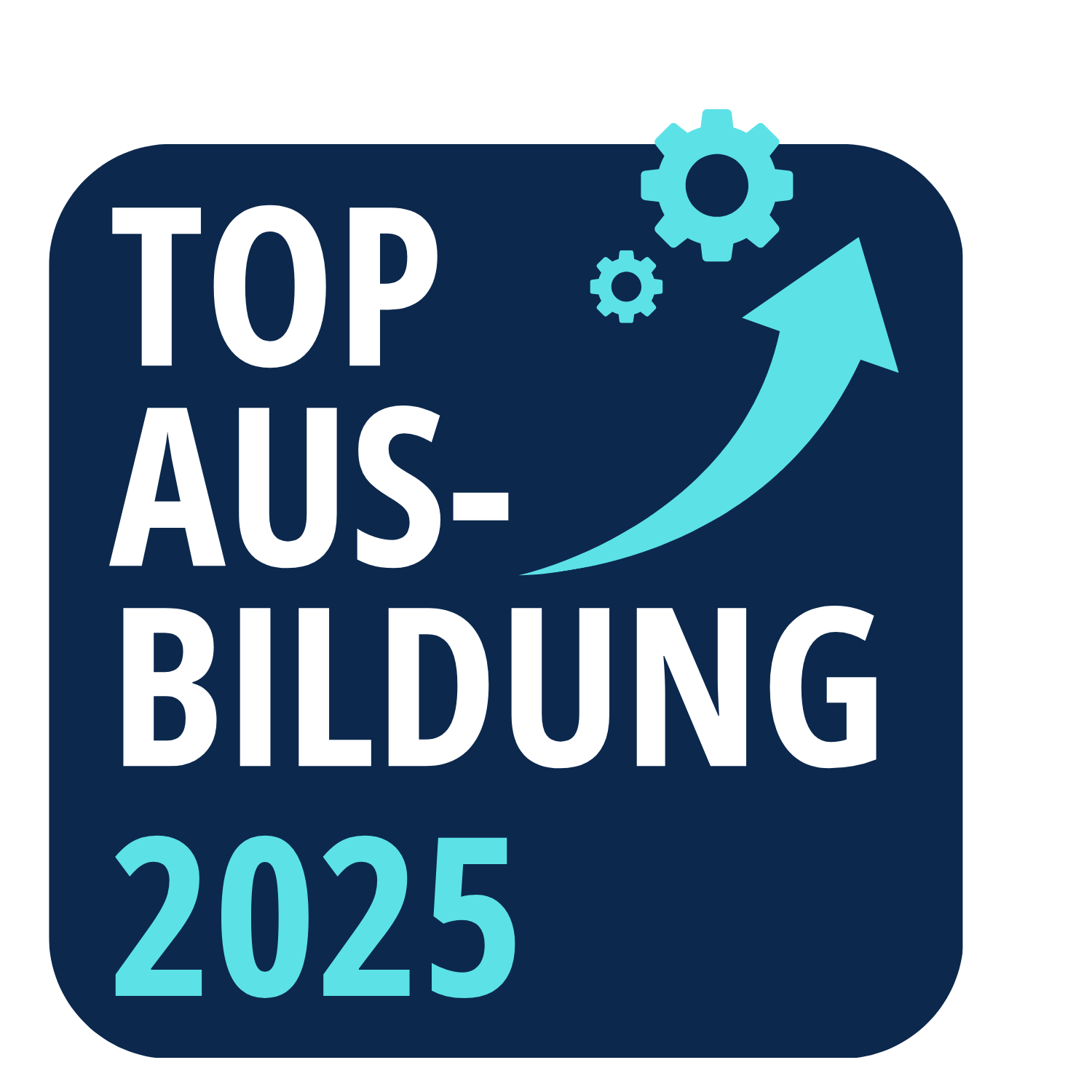Top Ausbildung 2025