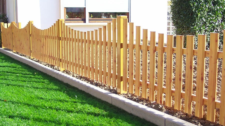 Zaun Paris, Zirbelkiefer hell