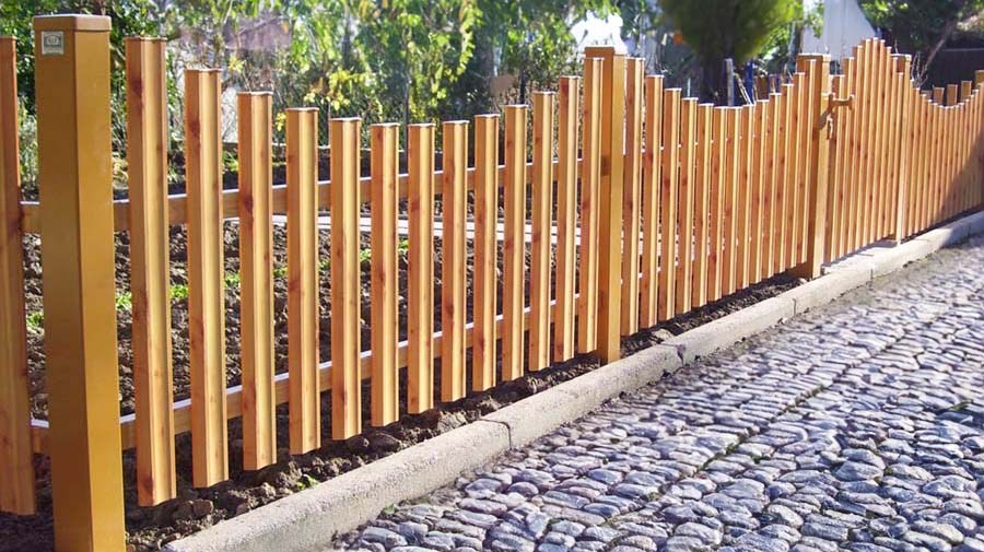 Zaun Paris, Zirbelkiefer hell